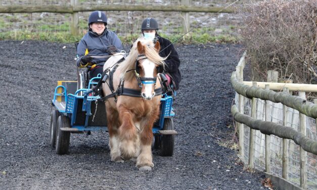 Inspirational action man Matt on mission to become a carriage driving champion